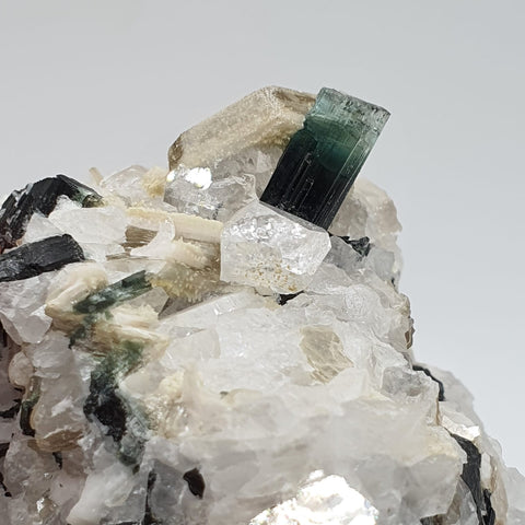 Bicolor Tourmaline With Mint Green Cap On Albite With Mica And Garnet