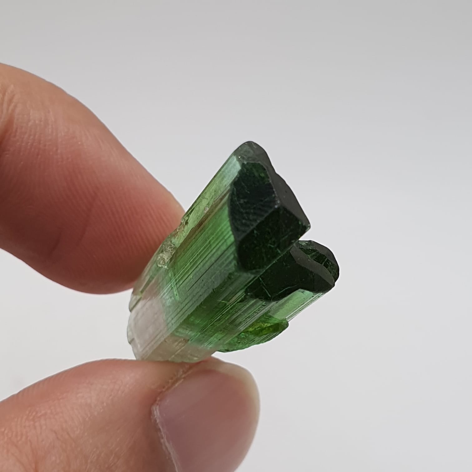 Bicolor Tourmaline Mineral Crystal