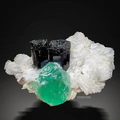 Black Tourmaline Crystals on Fluorite with Snowy Cleavelandite