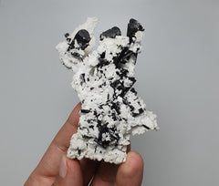 Black Tourmaline Crystals on Milky White Albite