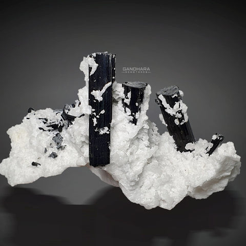 Black Tourmaline Crystals on Milky White Albite