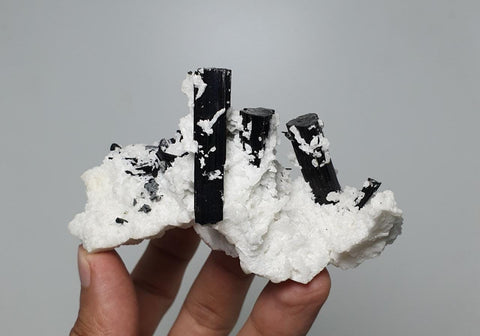 Black Tourmaline Crystals on Milky White Albite