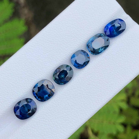 Blue Sapphire Gemstones - 10 carats