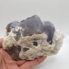 Blue Zone Purple Fluorite Crystals With Creamy White Calcite