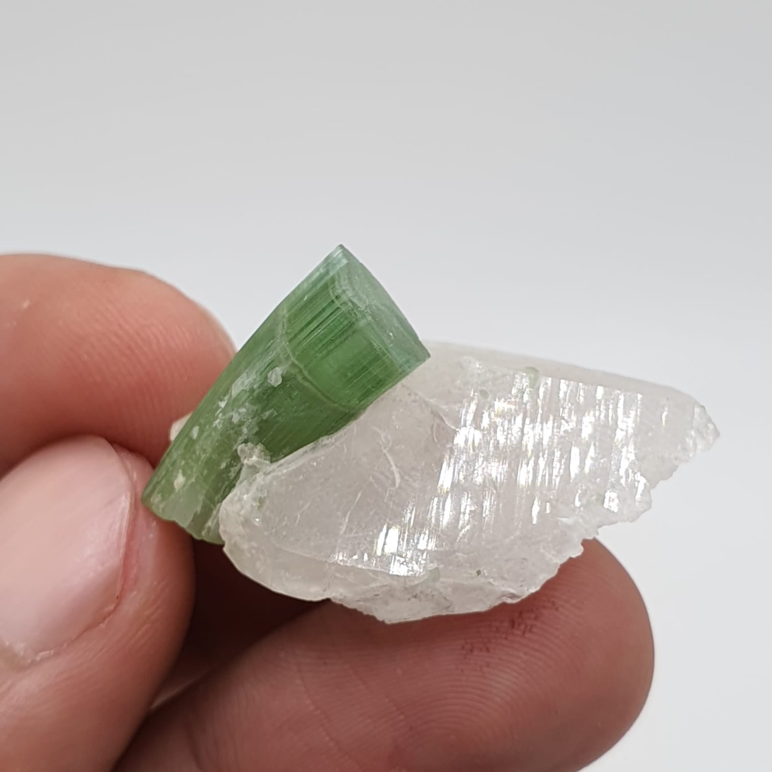 Blue Cap With Mint-Green Body Tourmaline On Quartz