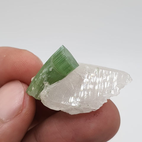 Blue Cap With Mint-Green Body Tourmaline On Quartz