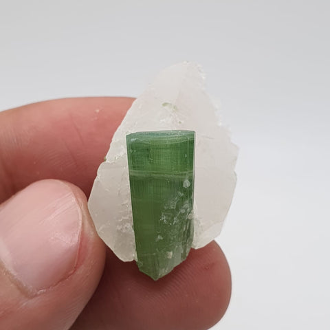 Blue Cap With Mint-Green Body Tourmaline On Quartz