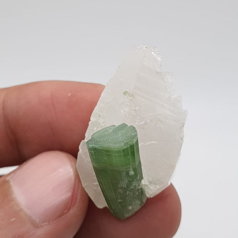 Blue Cap With Mint-Green Body Tourmaline On Quartz