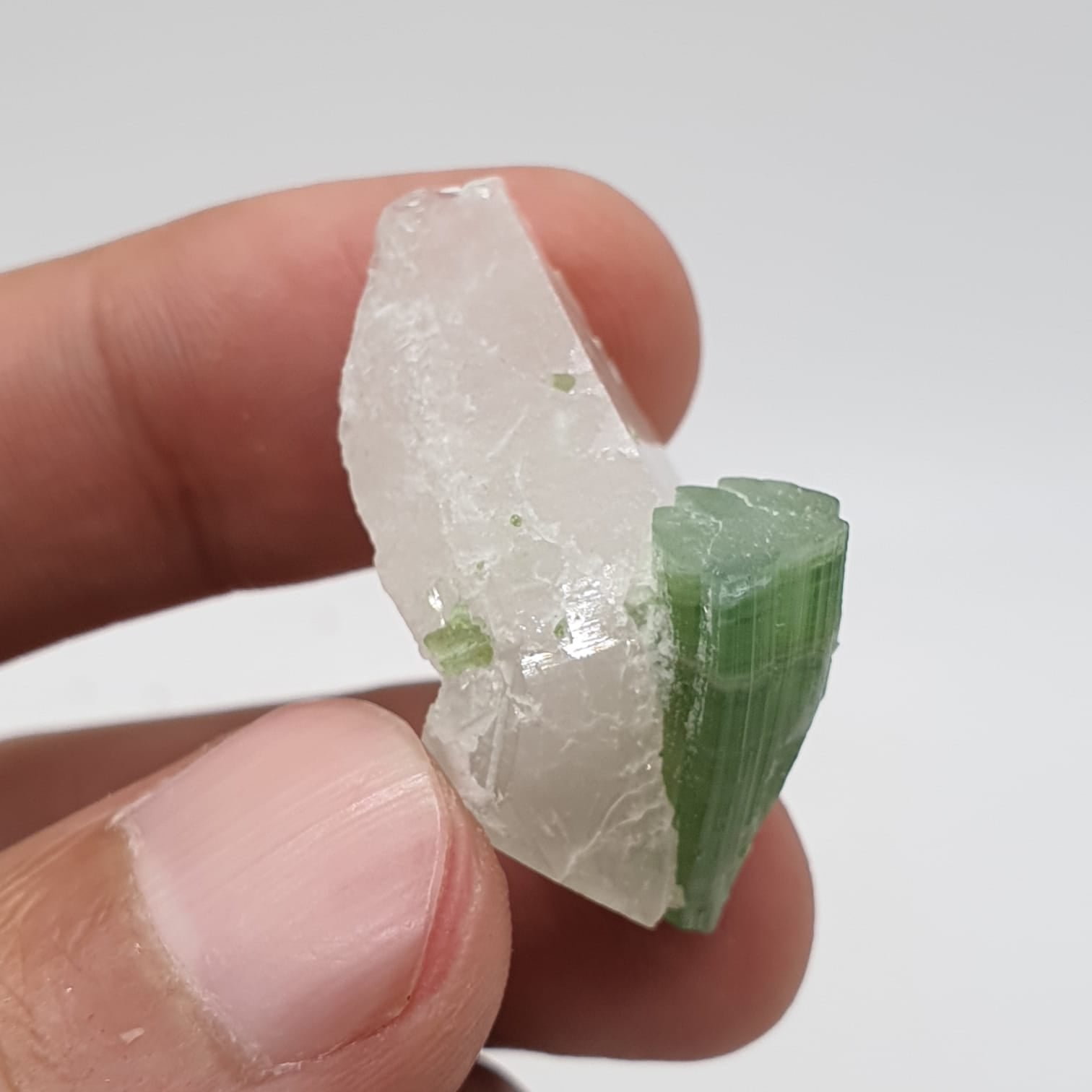 Blue Cap With Mint-Green Body Tourmaline On Quartz