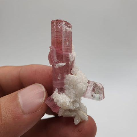 Bubble Gum Pink Tourmaline With Creamy White Cleavelandite