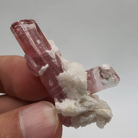 Bubble Gum Pink Tourmaline With Creamy White Cleavelandite