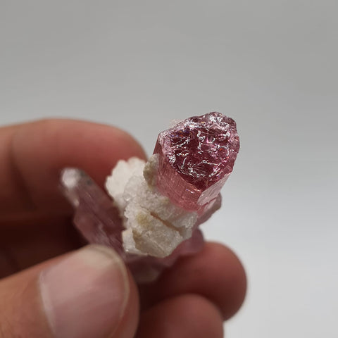 Bubble Gum Pink Tourmaline With Creamy White Cleavelandite