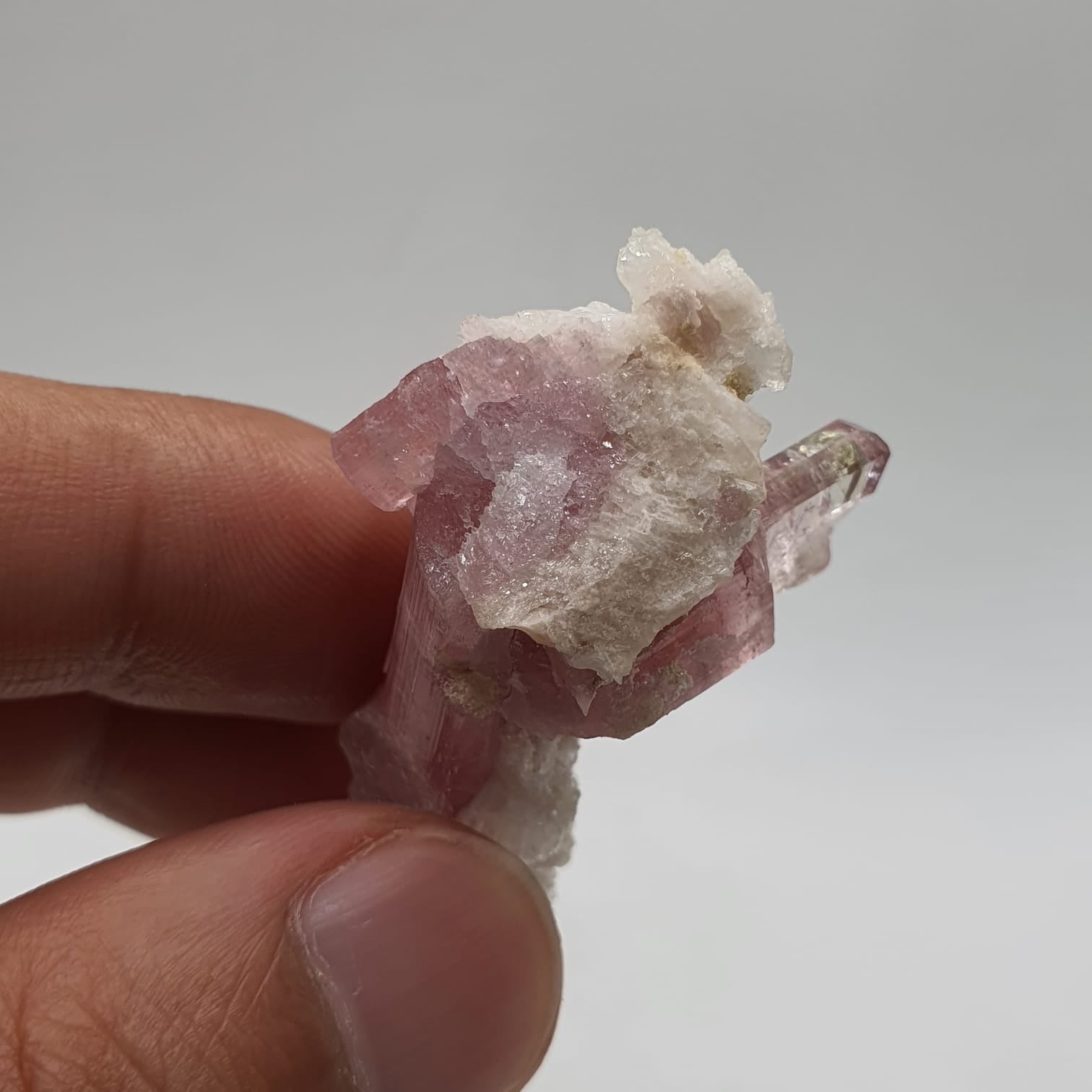 Bubble Gum Pink Tourmaline With Creamy White Cleavelandite