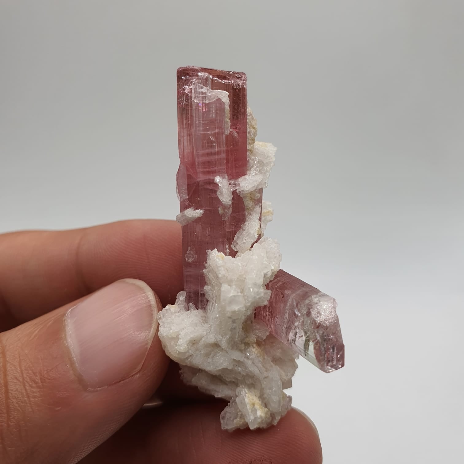 Bubble Gum Pink Tourmaline With Creamy White Cleavelandite