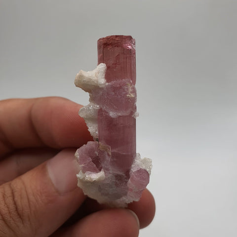 Bubble Gum Pink Tourmaline With Creamy White Cleavelandite