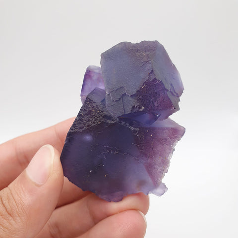 Colorful And Adorable Aggregate Of Fluorite Cubes