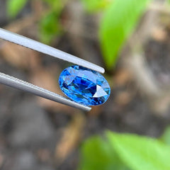 Cornflower Blue Natural Ceylon Sapphire