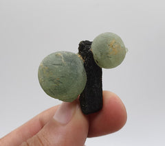 Cute and Artistic Piece of Prehnite Balls on Epidote from Mali, Africa