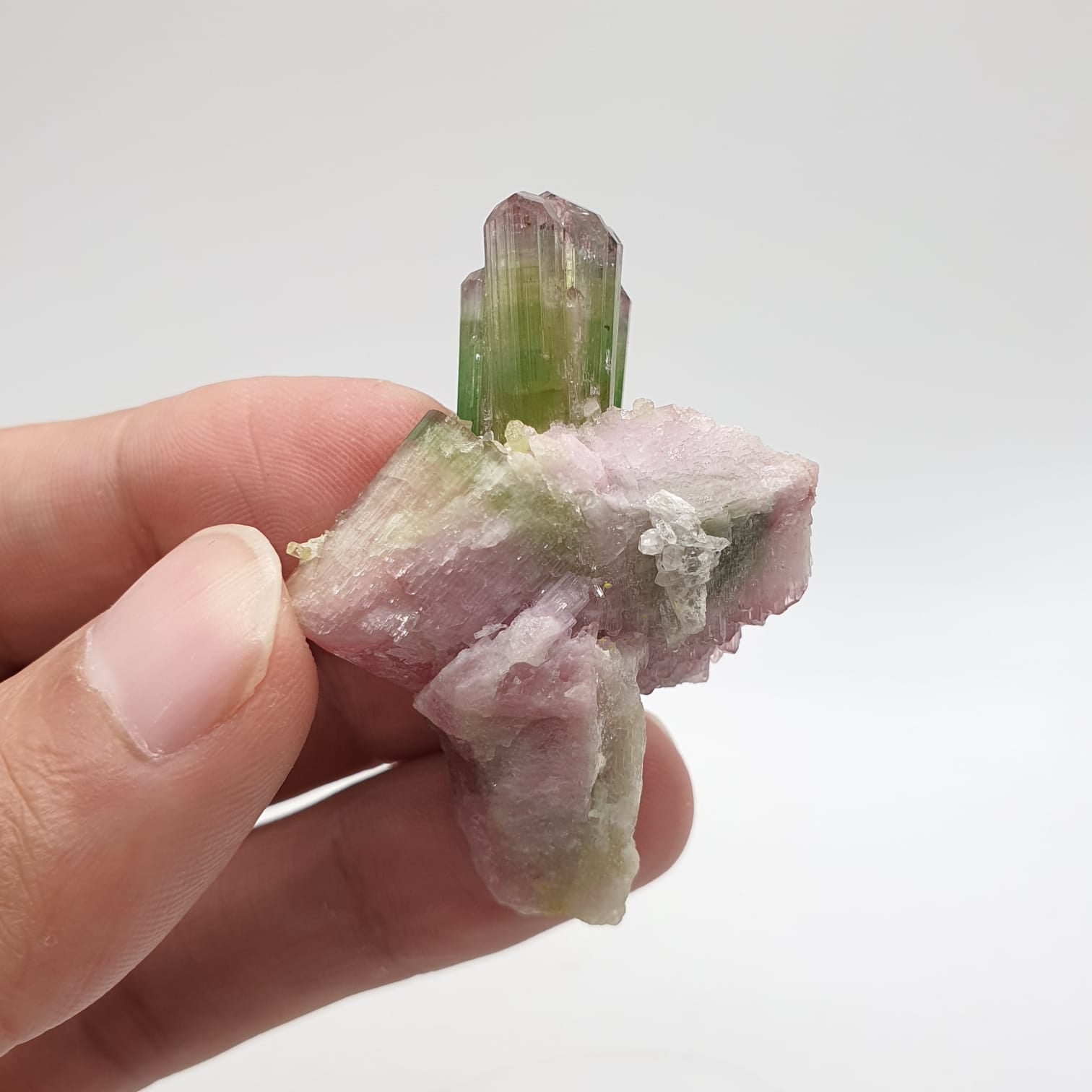 Elbaite Var. Tourmaline Rocket With Perfect Side Crystals