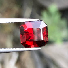 Faceted Torch Red Garnet Gemstone