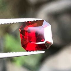 Garnet Gemstone