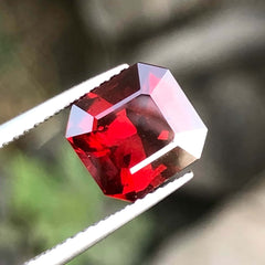 Faceted Torch Red Garnet Gemstone