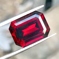 Faceted Wine Red Rhodolite Garnet