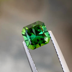 Fantasy Bluish Green Tourmaline Gemstone