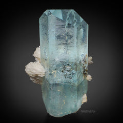 Fatty Aquamarine Crystal with Cleavelandite Roses