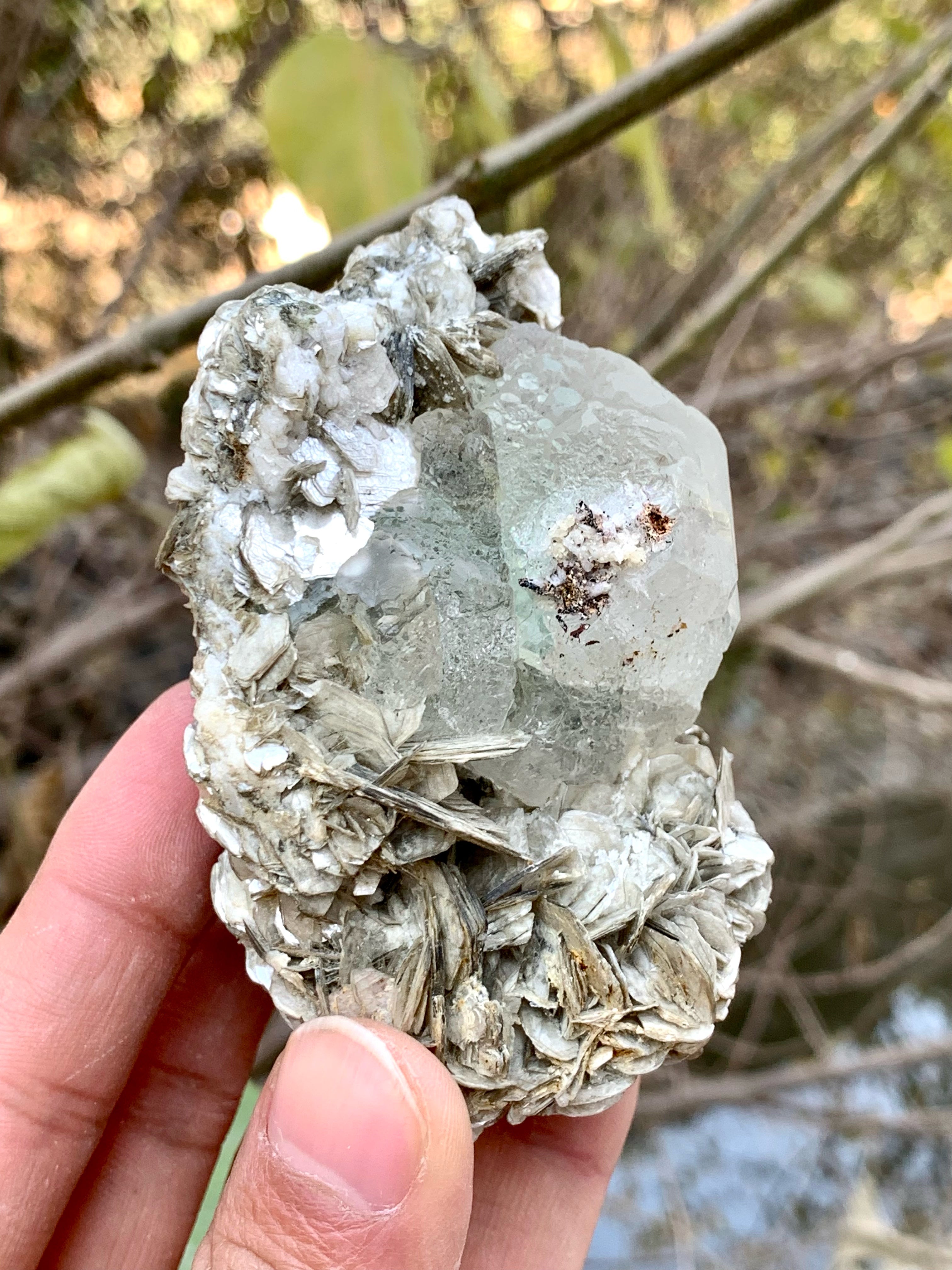 Focal Crystal Of Green Fluorite Nicely Positioned On Muscovite
