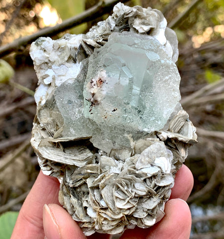 Focal crystal of Green Fluorite nicely positioned on Muscovite