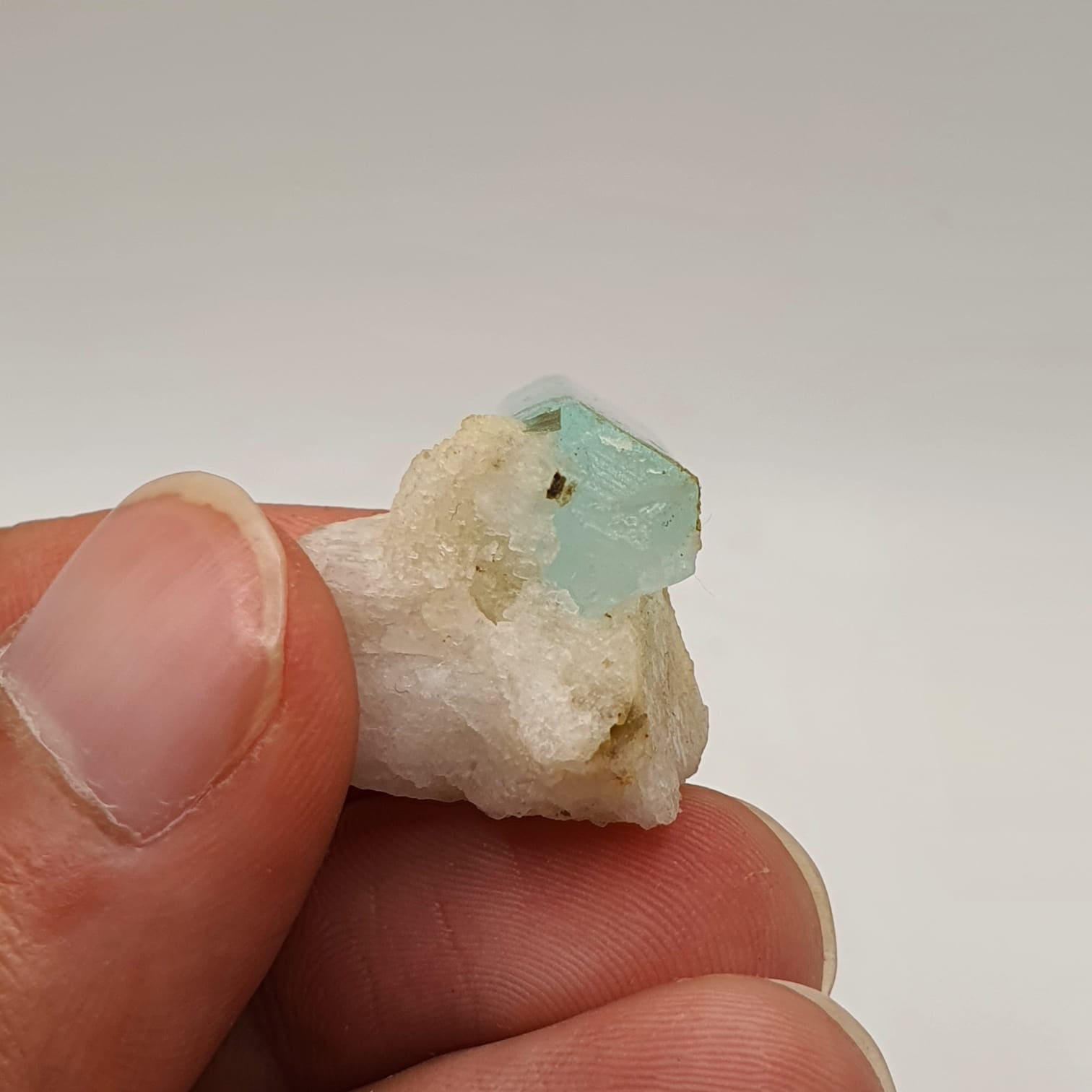 Gem Aquamarine Crystal Nicely Positioned On White Albite