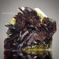 Gemmy Axinite Crystals on Epidote Matrix