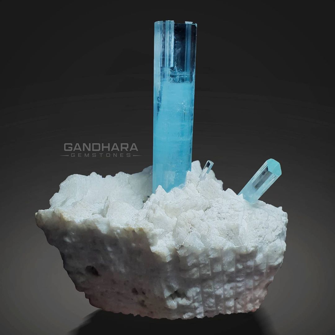 Gorgeous Aquamarine Crystals on Snowy Albite