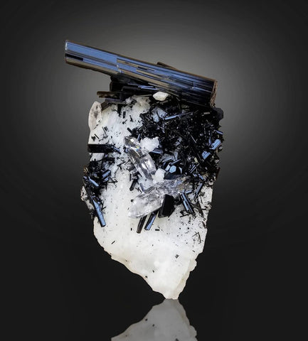 Gorgeous Black Tourmaline Crystals Perched on Albite with Quartz