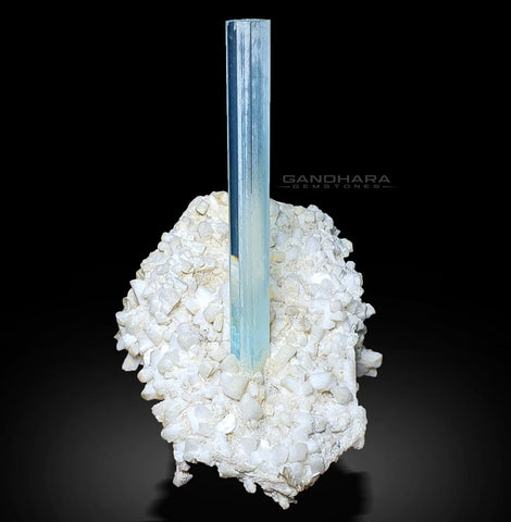 Gorgeous Elongated Aquamarine Crystal Standing Tall on Albite