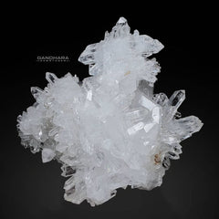 Gorgeous Pointed Quartz Crystals Cluster