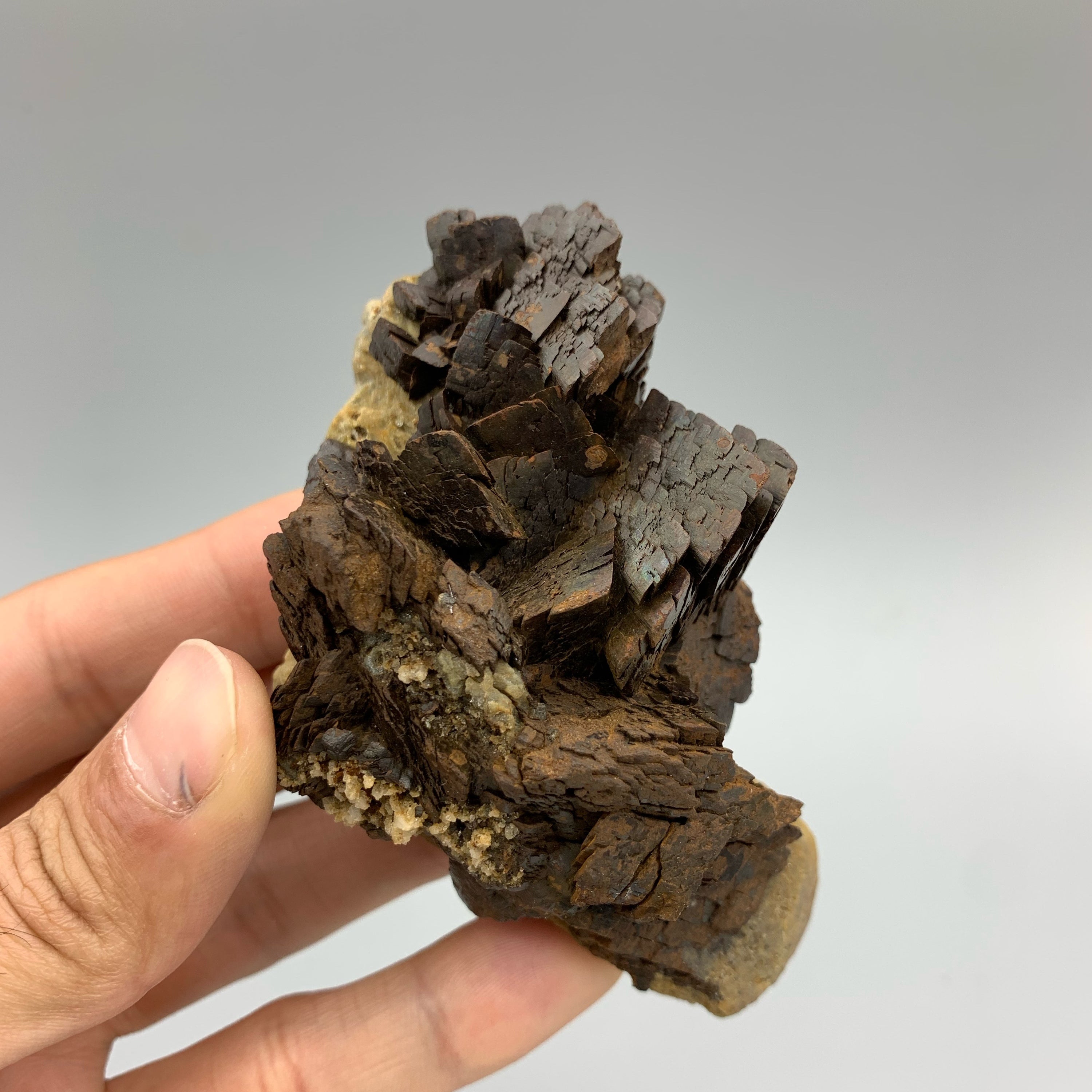 Gorgeous Aggregate Of Siderite Crystals On Matrix