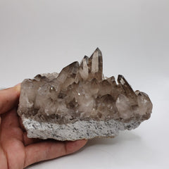 Gorgeous Cluster Of Elongated Smoky Quartz On Matrix