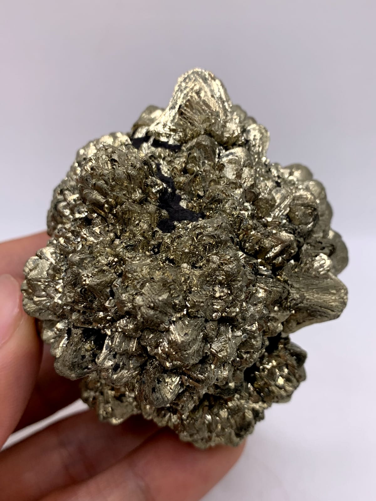 Gorgeous Dendritic Marcasite With Magnificent Golden Metallic luster