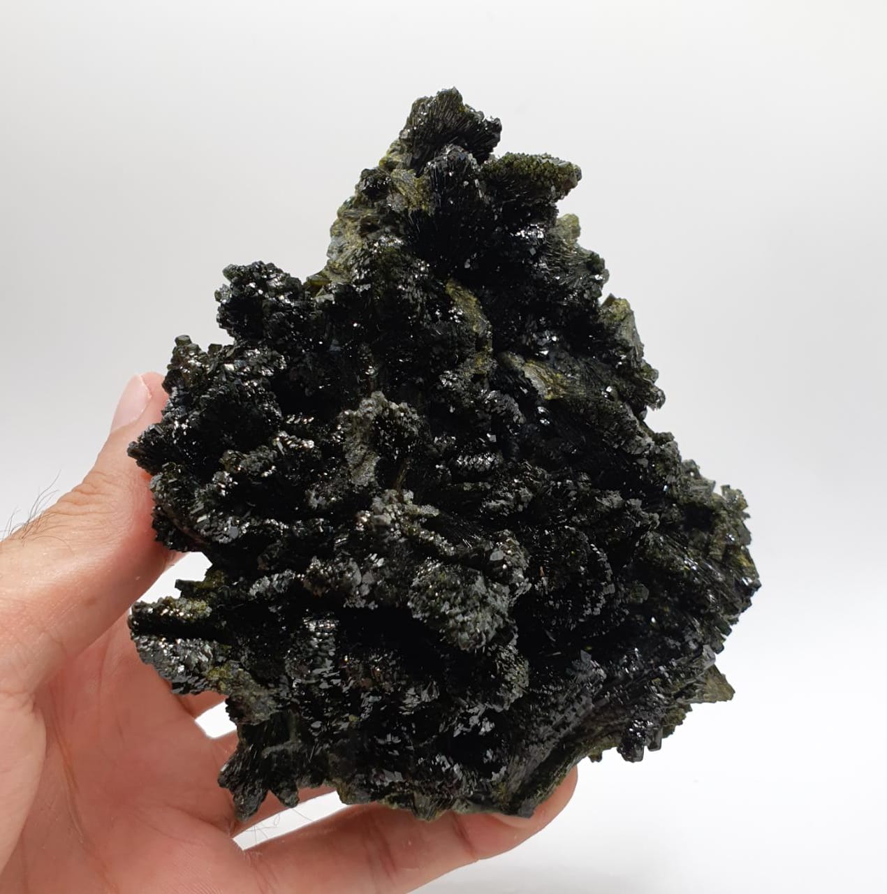 Gorgeous Dendritic Shape Epidote Cluster with Vitreous Luster