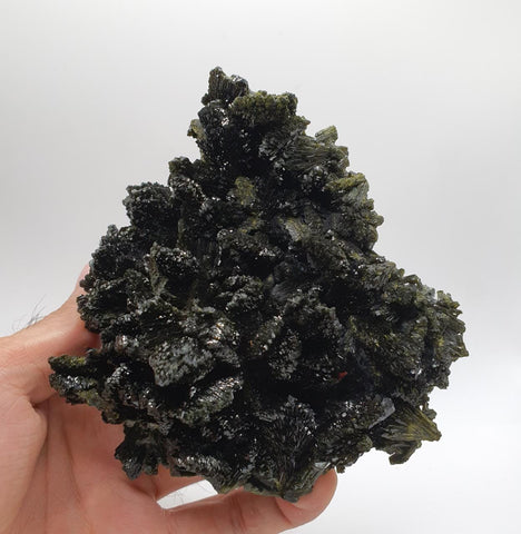 Gorgeous Dendritic Shape Epidote Cluster with Vitreous Luster