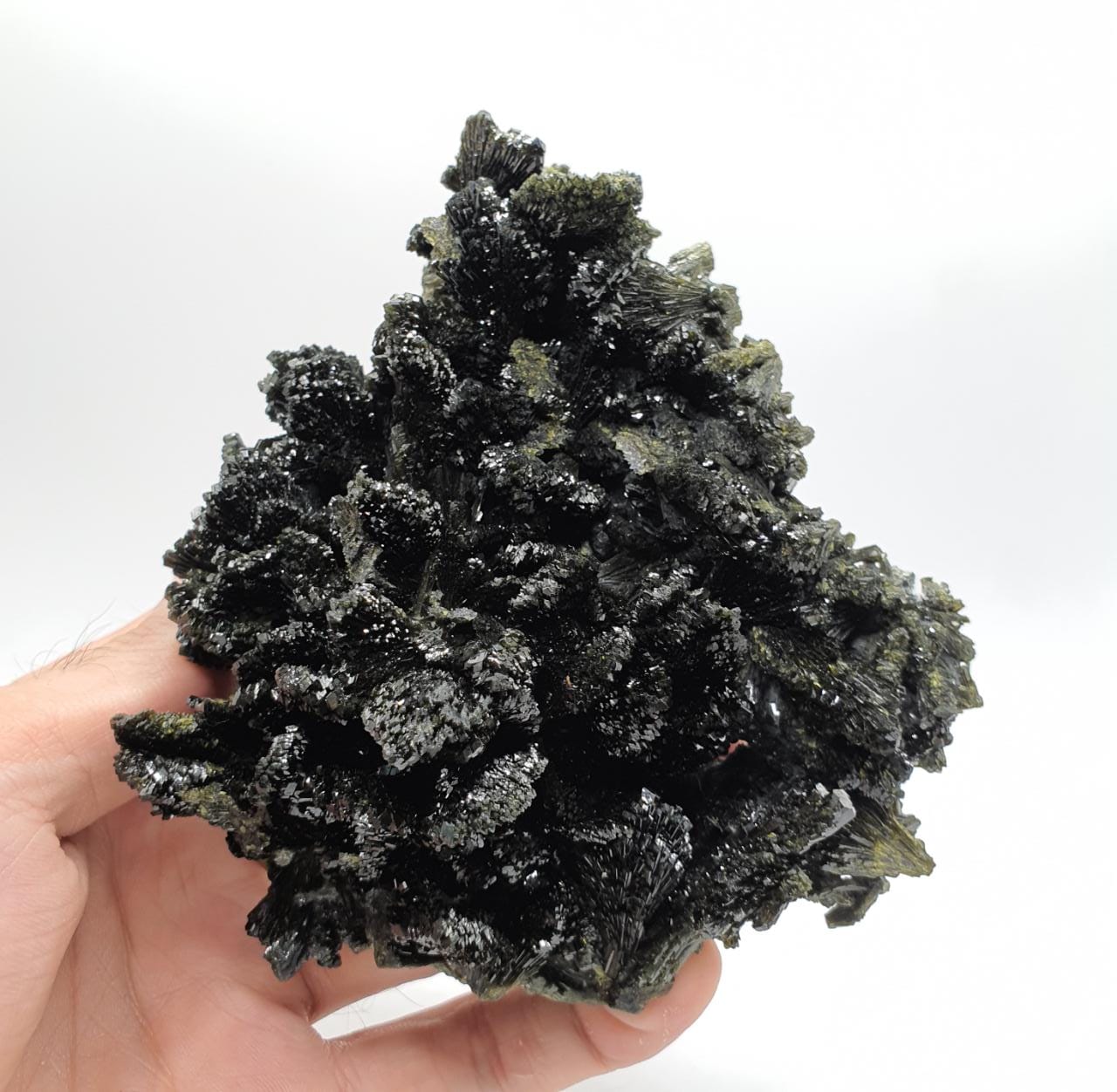 Gorgeous Dendritic Shape Epidote Cluster with Vitreous Luster