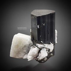 Lustrous striking Schorl Black Tourmaline on Albite from Skardu, Pakistan