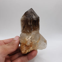 Gorgeous Scepter Smoky Quartz