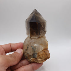 Gorgeous Scepter Smoky Quartz