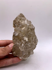 Gorgeous large Cabinet Smoky Scepter Quartz