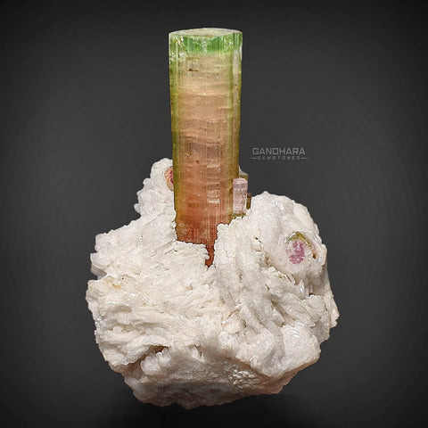 Green Cap Tourmaline Specimen on Snowy Cleavelandite Matrix