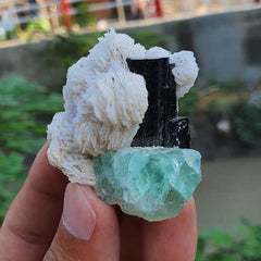 Schorl with Green Fluorite