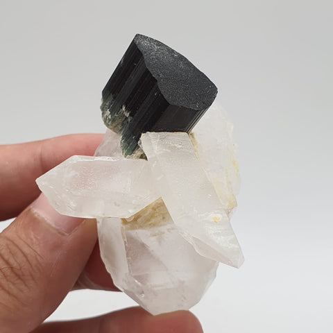 Green Cap Schorl Crystal On Double Terminated Quartz